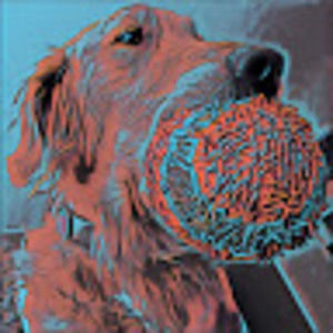 Meet your Posher, Sean